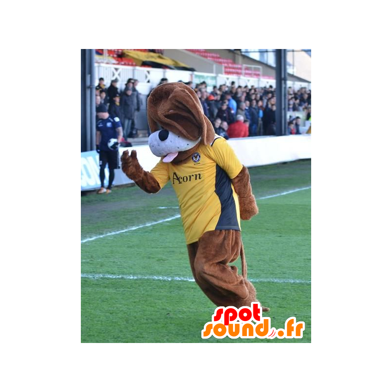 Mascotte de chien marron, avec un t-shirt jaune - MASFR21984 - Mascottes de chien Mascotte de chien marron, avec un t-shirt jaune - MASFR21984 - Mascottes de chien