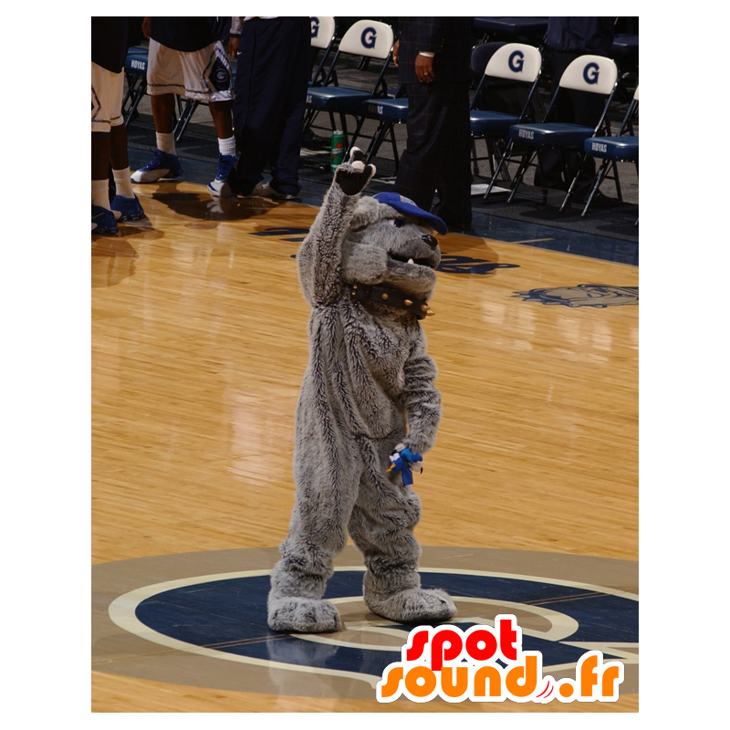 Mascot γκρι σκυλί μπουλντόγκ με ένα κολάρο - MASFR22014 - Μασκότ Dog Mascot γκρι σκυλί μπουλντόγκ με ένα κολάρο - MASFR22014 - Μασκότ Dog