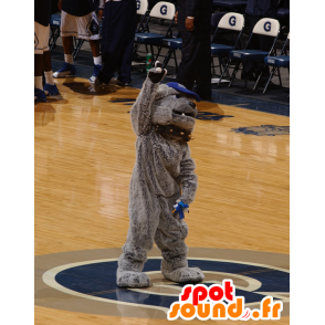 Gray bulldog mascot, dog with a collar - MASFR22014 - Dog mascots