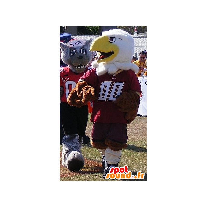 2 mascots, a brown and white eagle, and a gray wolf - MASFR22018 - Mascots Wolf