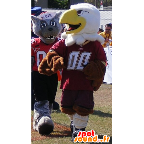 2 mascots, a brown and white eagle, and a gray wolf - MASFR22018 - Mascots Wolf