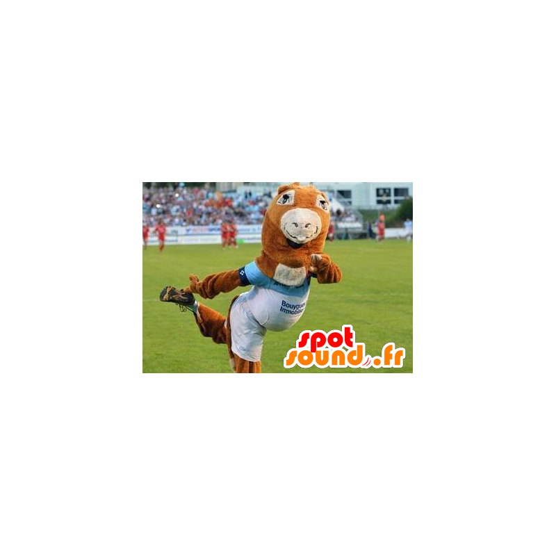 Mascot Pottoka, pony - Mascot Aviron Bayonne - Pferdemaskottchen - MASFR22021 - SpotSound.fr