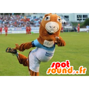 Mascot Pottoka, ponni - Mascot Aviron Bayonnais - Hestemaskoter - MASFR22021 - SpotSound.fr