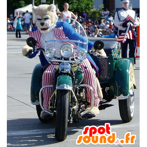 Tigre mascota, gato en poder de los republicanos - MASFR22028 - Mascotas de tigre