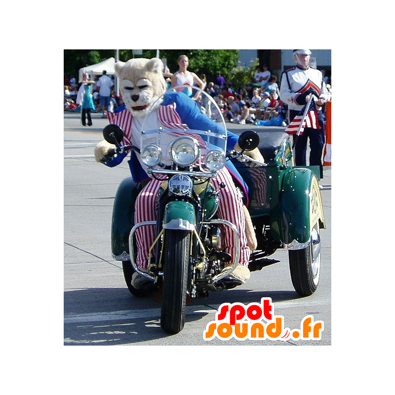 Tigre mascota, gato en poder de los republicanos - MASFR22028 - Mascotas de tigre Tigre mascota, gato en poder de los republicanos - MASFR22028 - Mascotas de tigre