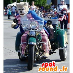 Tigre mascota, gato en poder de los republicanos - MASFR22028 - Mascotas de tigre