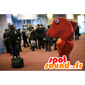 Mascotte de gros poisson rouge et orange - MASFR22033 - Mascottes Poisson