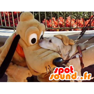 Mascotte Pluto famoso cane Myckey mouse - MASFR22069 - Mascotte cane