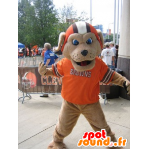 Mascota del perro de Brown, con un casco y una camisa naranja - MASFR22074 - Mascotas perro