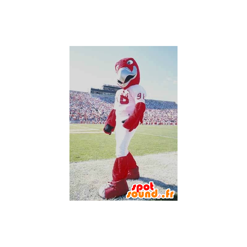 Red Eagle Mascot i hvitt sports - MASFR22079 - Mascot fugler