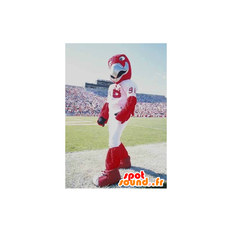 Red eagle mascot in white sportswear - MASFR22079 - Mascot of birds