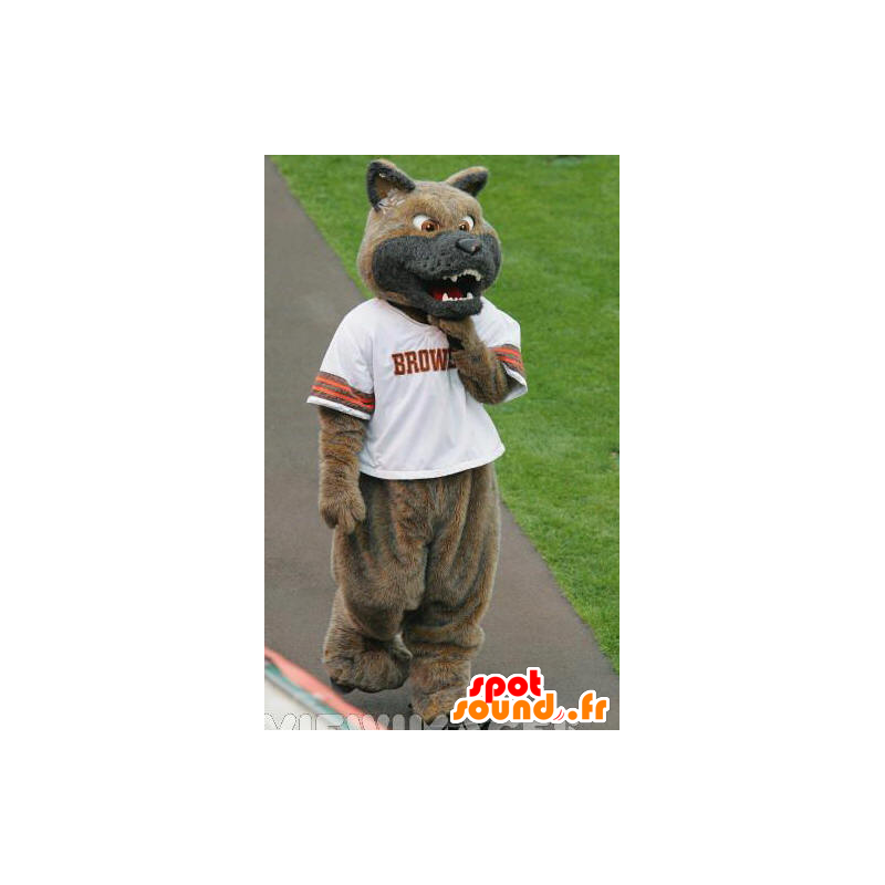 Dog Mascot, ruskea ja harmaa susi näyttää tarkoitetaan - MASFR22093 - Wolf Maskotteja