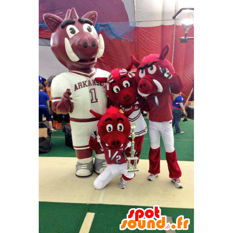 3 mascots red boars, parents and baby - MASFR22118 - Mascots baby 3 mascots red boars, parents and baby - MASFR22118 - Mascots baby