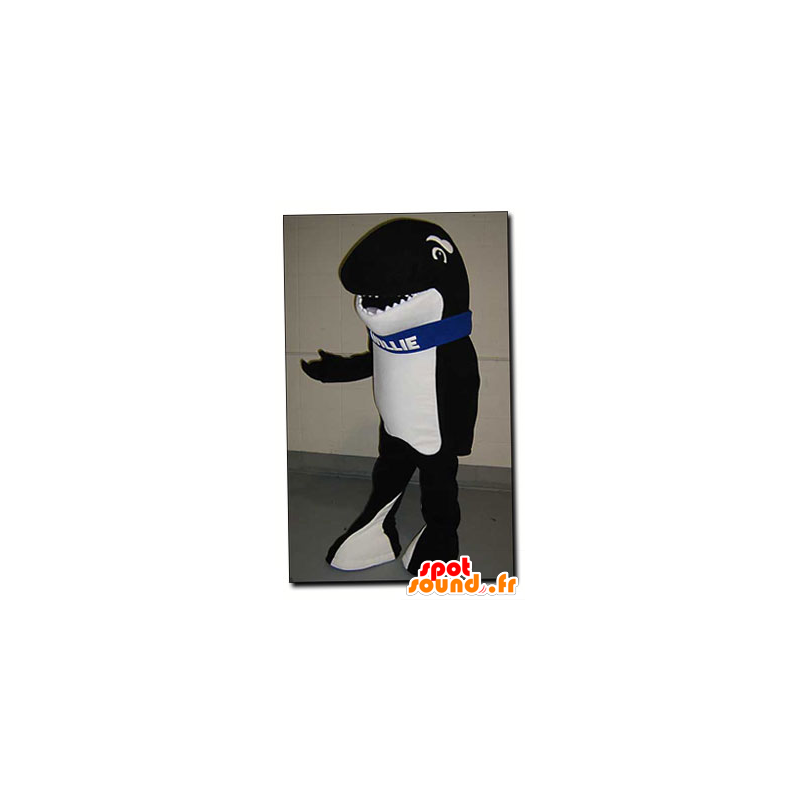 Black and white orca mascot - Mascot Willie - MASFR22123 - Mascots of the ocean