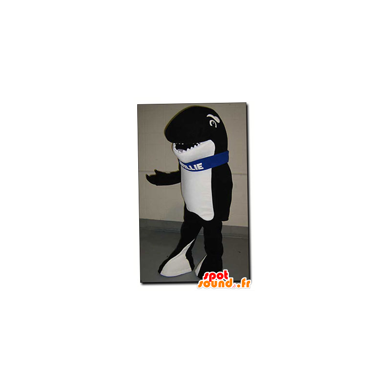 Preto e branco mascote orca - mascote Willie - MASFR22123 - Mascotes do oceano