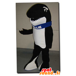 Black and white orca maskot - Mascot Willie - MASFR22123 - Maskoti oceánu
