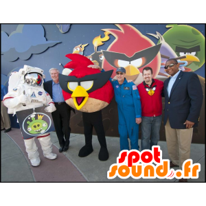 Mascota del pájaro rojo, el famoso juego de video Angry Birds - MASFR22137 - Mascota de aves