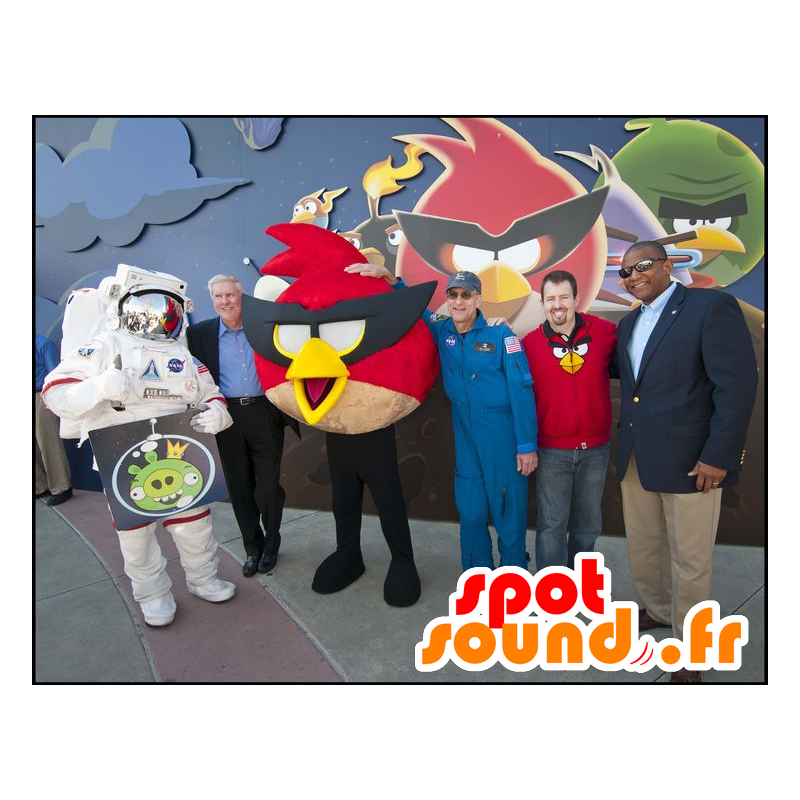 Maskotka czerwony ptak, popularnej gry wideo Angry Birds - MASFR22137 - ptaki Mascot Maskotka czerwony ptak, popularnej gry wideo Angry Birds - MASFR22137 - ptaki Mascot