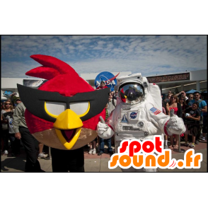 Mascota del pájaro rojo, el famoso juego de video Angry Birds - MASFR22137 - Mascota de aves