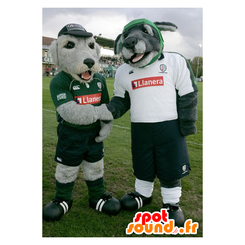 2 mascotes cães cinzentas no sportswear - MASFR22150 - Mascotes cão 2 mascotes cães cinzentas no sportswear - MASFR22150 - Mascotes cão
