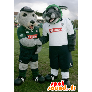2 mascotes cães cinzentas no sportswear - MASFR22150 - Mascotes cão