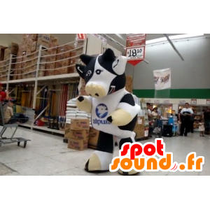 Mascot av svart og hvit ku, gigantiske - MASFR22170 - Cow Maskoter