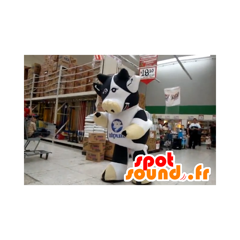 Mascot černé a bílé krávy, obří - MASFR22170 - kráva Maskoti Mascot černé a bílé krávy, obří - MASFR22170 - kráva Maskoti