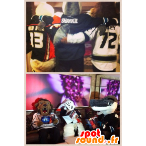 3 mascot, a lion, a white duck, and a gray shark - MASFR22177 - Ducks mascot