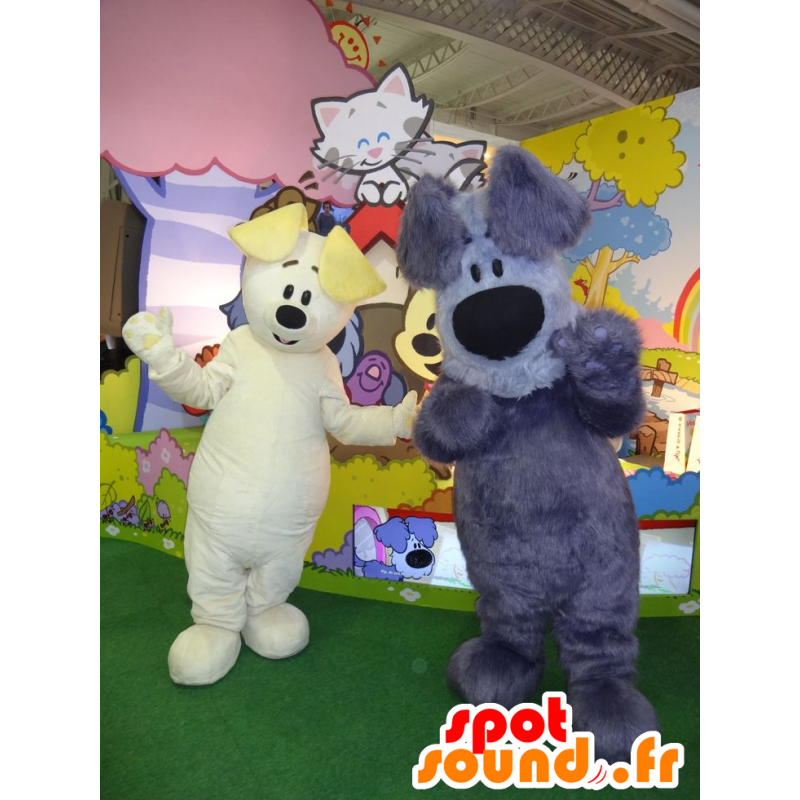 2 perros mascotas, uno blanco y el otro gris y azul - MASFR22183 - Mascotas perro 2 perros mascotas, uno blanco y el otro gris y azul - MASFR22183 - Mascotas perro