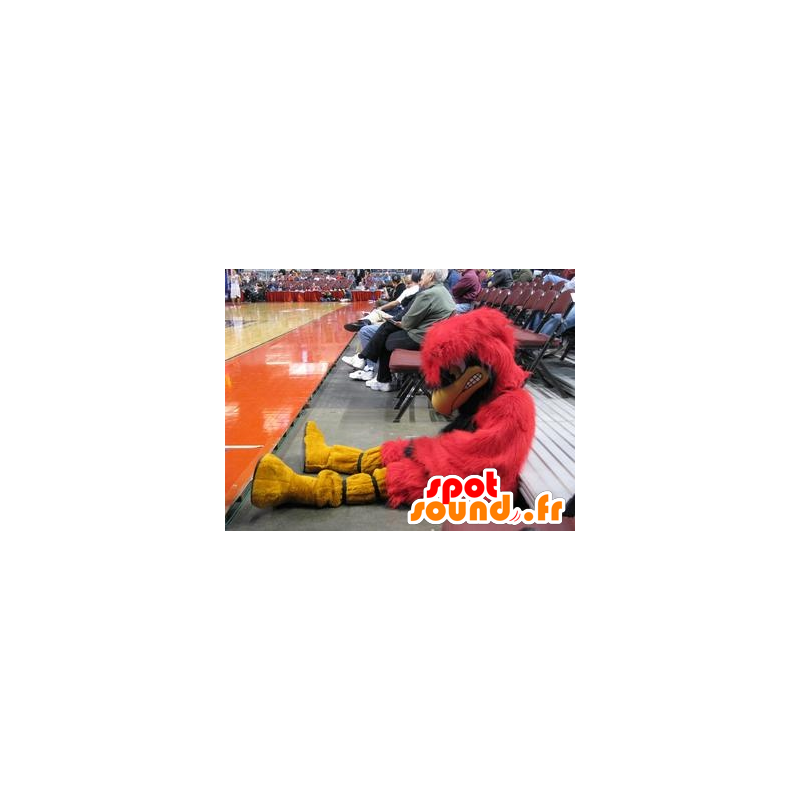 Rojo mascota mayorista y pájaro amarillo, de aspecto maligno - MASFR22200 - Mascota de aves Rojo mascota mayorista y pájaro amarillo, de aspecto maligno - MASFR22200 - Mascota de aves