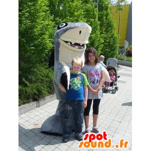 Mascot gray and white shark, giant and very successful - MASFR22205 - Mascots shark
