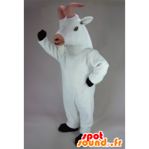 Mascota de la cabra de biquette, cabra blanca - MASFR22245 - Cabras y cabras mascotas