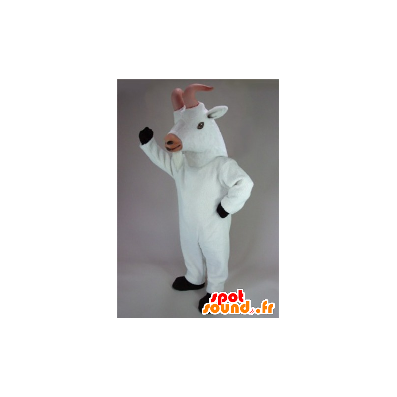 Getmaskot, get, vit unge - Spotsound maskot Getmaskot, get, vit unge - Spotsound maskot
