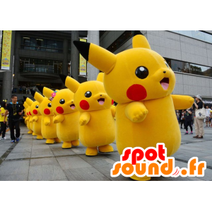 La mascota de Pikachu, famoso personaje de dibujos animados - MASFR22247 - Pokémon mascotas