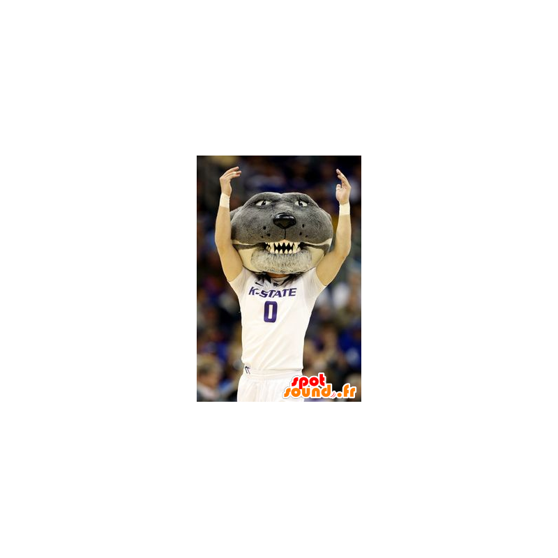 Gray dog mascot head, feline - MASFR22288 - Dog mascots Gray dog mascot head, feline - MASFR22288 - Dog mascots