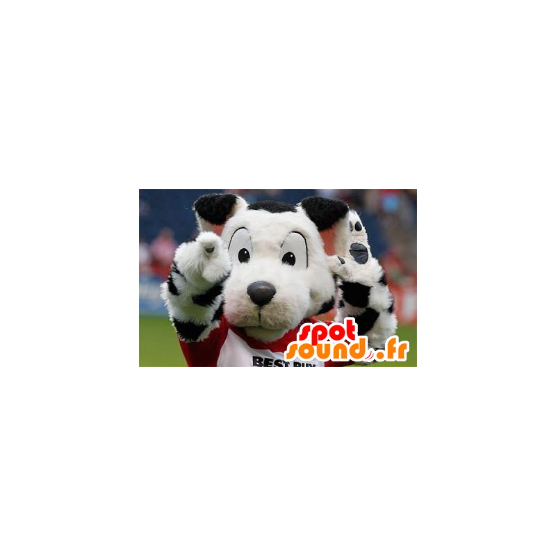 Weiße und schwarze Hund Maskottchen spotted in der Sportkleidung - MASFR22294 - Hund-Maskottchen Weiße und schwarze Hund Maskottchen spotted in der Sportkleidung - MASFR22294 - Hund-Maskottchen