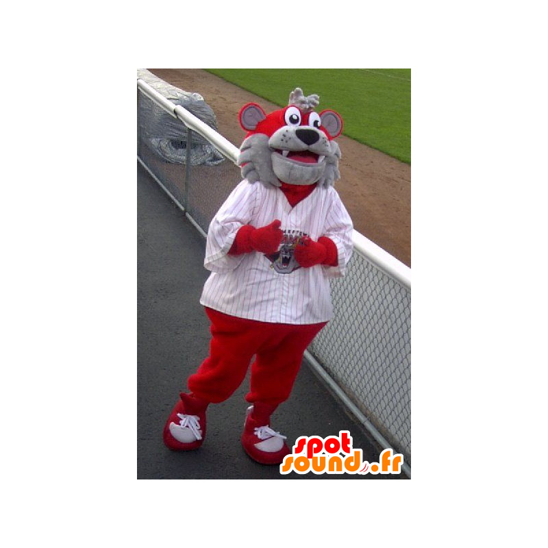 Mascotte bear, gray and red dog - MASFR22315 - Bear mascot