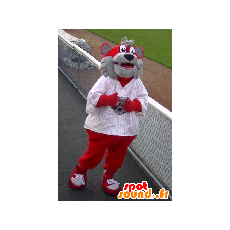 Maskot medvěd, šedá a červená pes - MASFR22315 - Bear Mascot