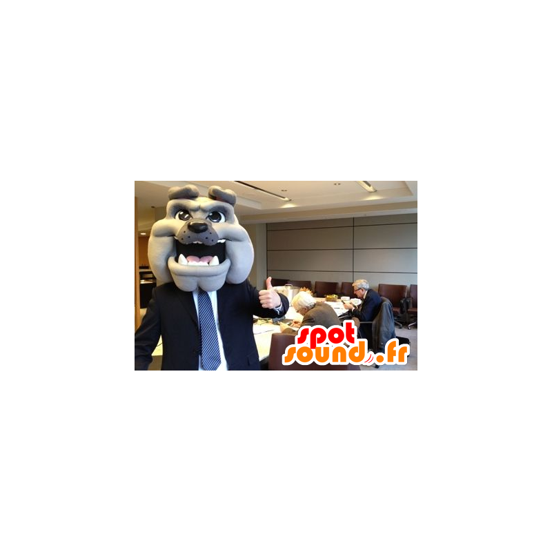 Dog head mascot, gray bulldog - MASFR22328 - Dog mascots Dog head mascot, gray bulldog - MASFR22328 - Dog mascots