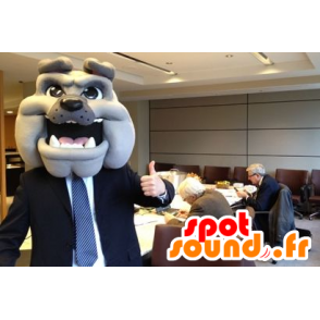 Psí hlava maskot, šedá bulldog - MASFR22328 - psí Maskoti