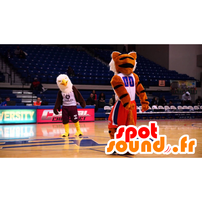 Maskot hnědé a bílé orlice, velmi realistický - MASFR22331 - maskot ptáci Maskot hnědé a bílé orlice, velmi realistický - MASFR22331 - maskot ptáci