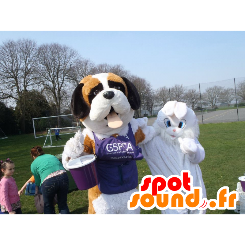 2 mascottes, un Saint-Bernard tricolore et un lapin blanc - MASFR22332 - Mascotte de lapins 2 mascottes, un Saint-Bernard tricolore et un lapin blanc - MASFR22332 - Mascotte de lapins