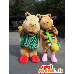2 mascotes cobaias, marmotas castanhos - MASFR22355 - mascotes porco