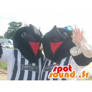 2 mascotte talpe, orso nero, in abiti sportivi - MASFR22364 - Mascotte orso