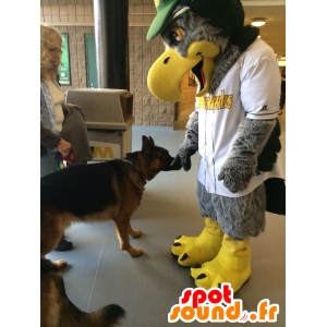 Gris de la mascota y el águila amarilla, toda peluda - MASFR22374 - Mascota de aves