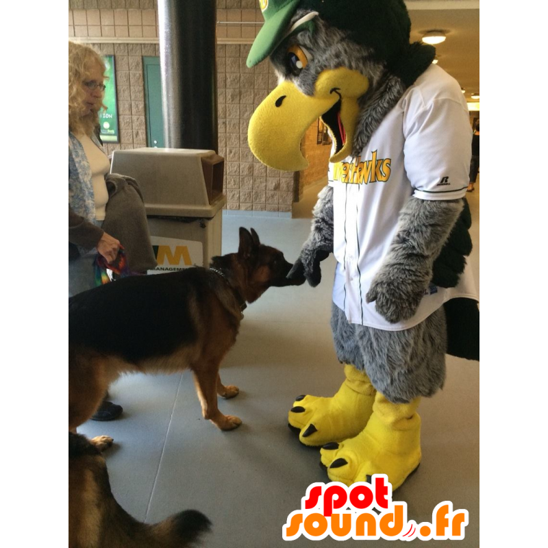 Mascotte d'aigle gris et jaune, tout poilu - MASFR22374 - Mascotte d'oiseaux Mascotte d'aigle gris et jaune, tout poilu - MASFR22374 - Mascotte d'oiseaux