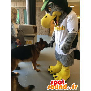 Gris de la mascota y el águila amarilla, toda peluda - MASFR22374 - Mascota de aves