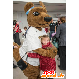 Hnědý klokan maskot, obří, s bílou košilí - MASFR22409 - klokaní maskoti