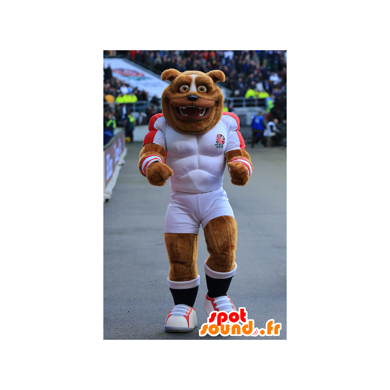 Brown Hund Maskottchen von Muskelbulldogge, in der Sportkleidung - MASFR22419 - Hund-Maskottchen Brown Hund Maskottchen von Muskelbulldogge, in der Sportkleidung - MASFR22419 - Hund-Maskottchen