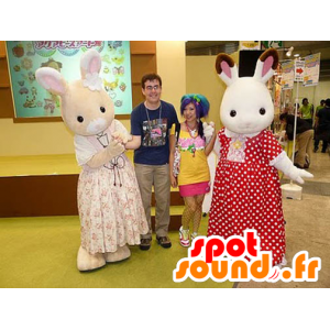 2 mascottes de lapins blanc et beige, en robe - MASFR22441 - Mascotte de lapins